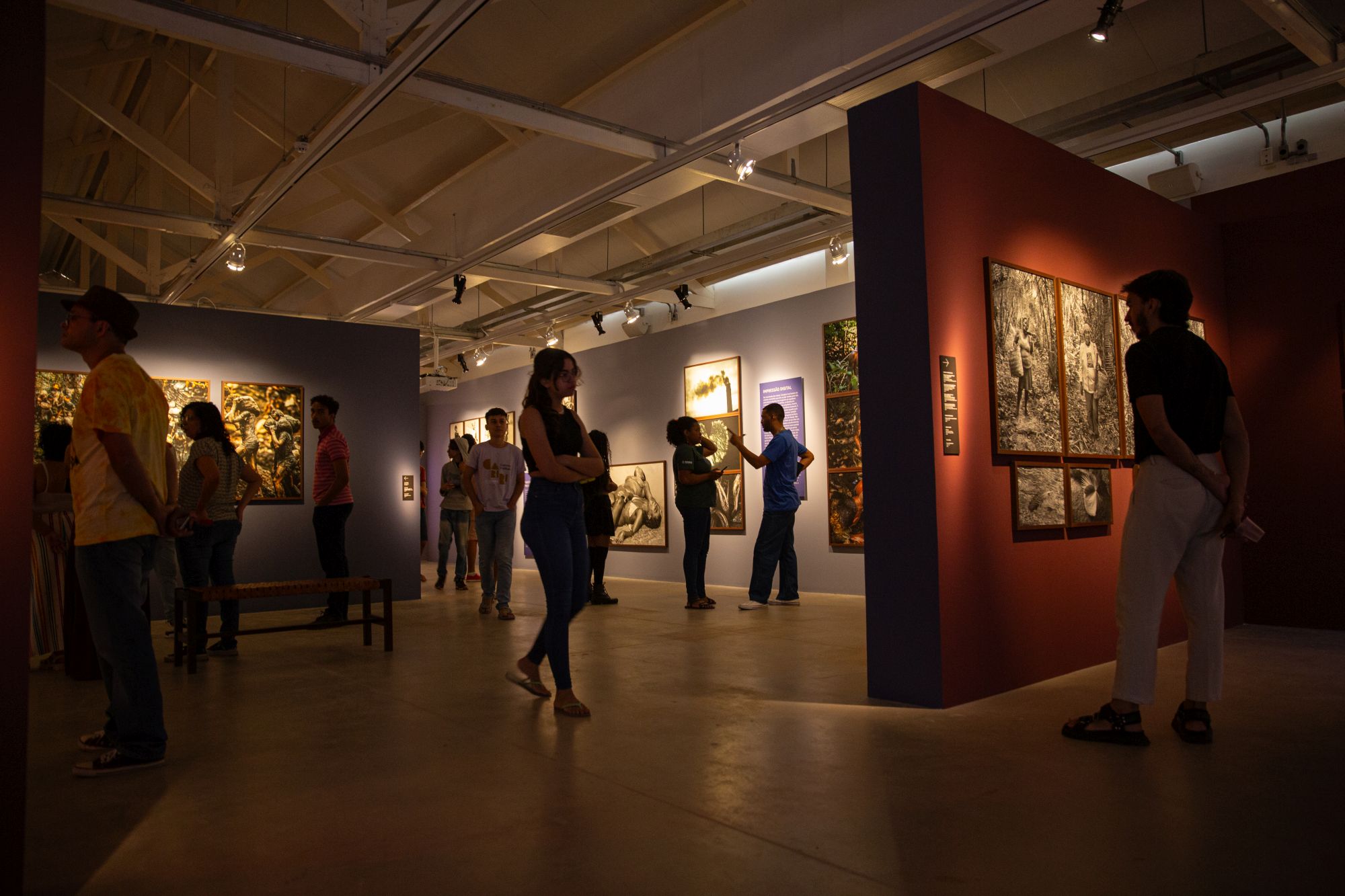 Visita Guiada Exposições, Exposições Encarnado e Terra em Transe.