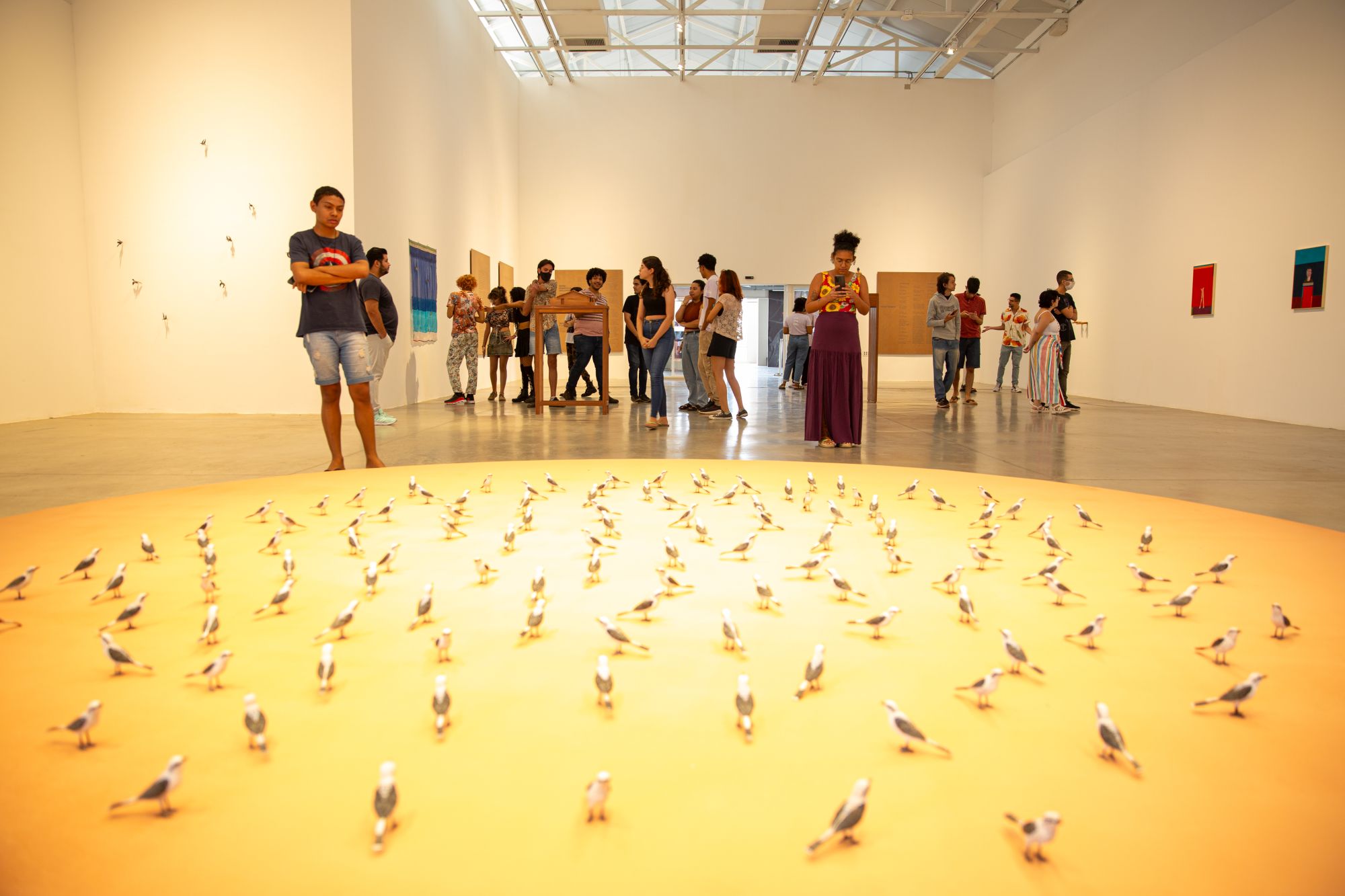 Visita Guiada Exposições, Exposições Encarnado e Terra em Transe.