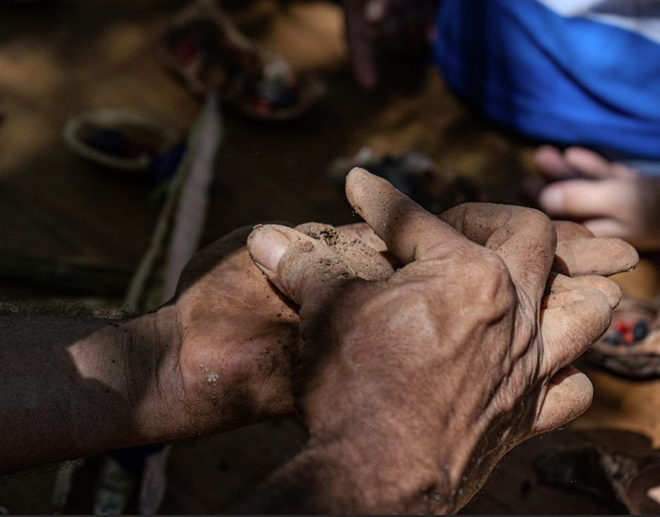 Vivência Ambiental: Experiências Sensoriais