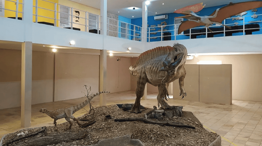 Vivência Ecoturística para o Museu de Paleontologia Plácido Cidade Nuvens