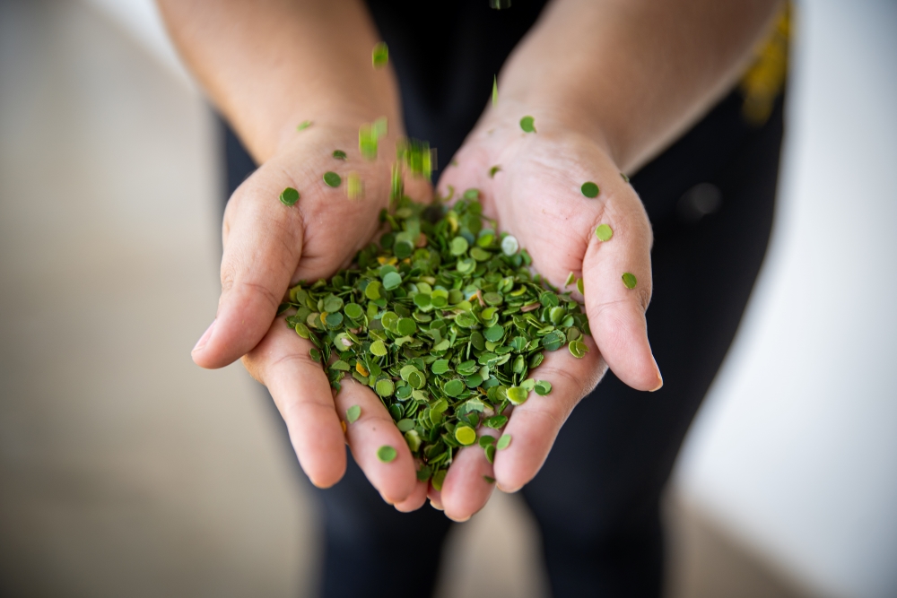 [Formação] Folia Sustentável: Confetes Ecológicos