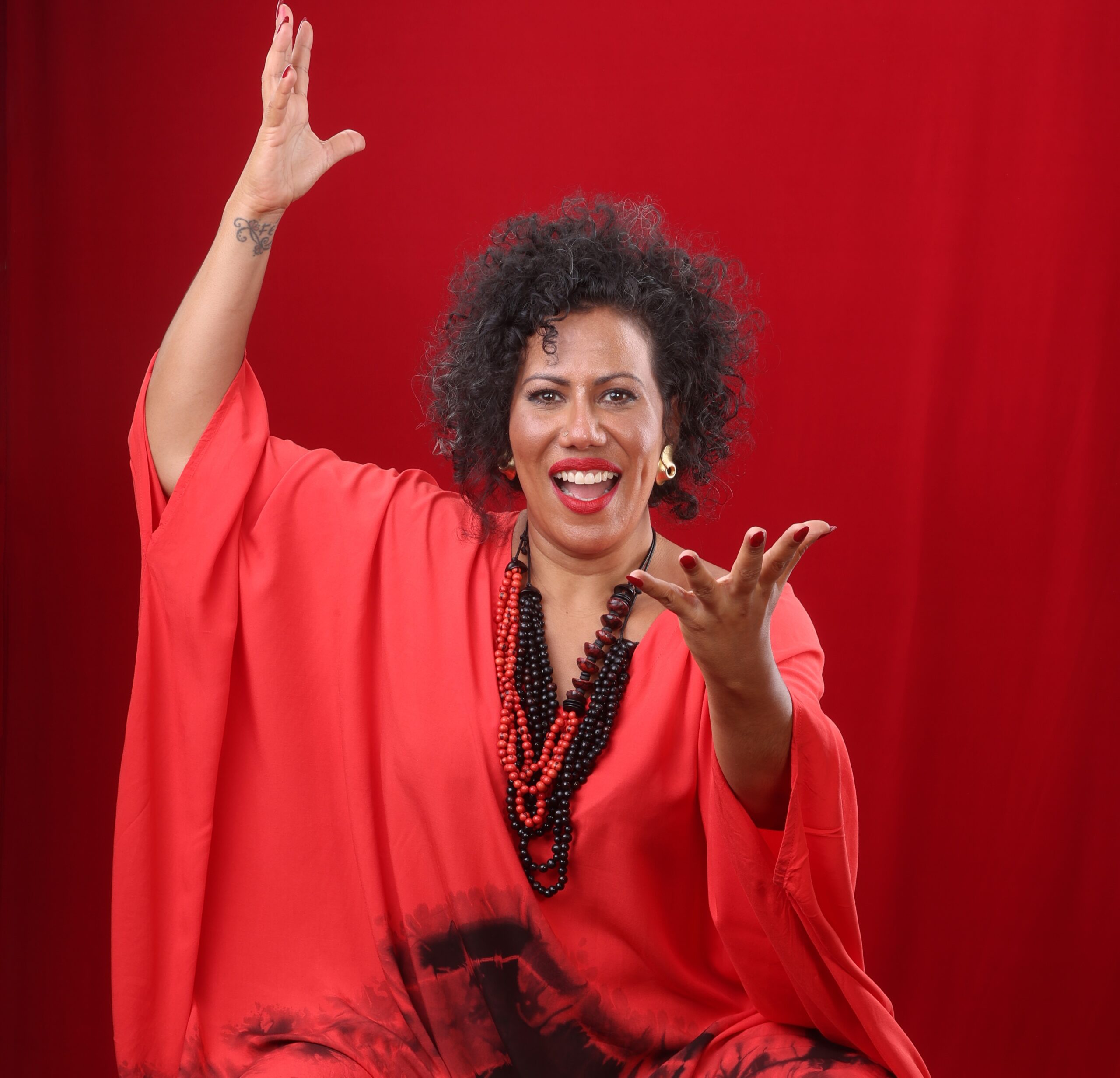 Show Mercedes Sosa: A voz dos sem voz