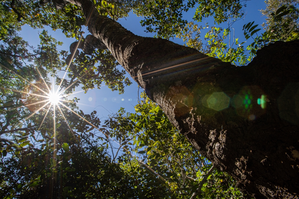 Oficina – Laboratório de Paisagem: Natureza Abiótica de Barbalha-CE